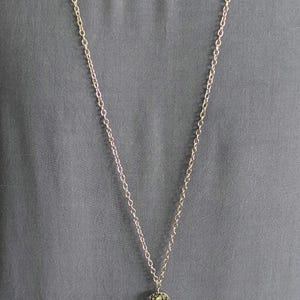 Princess Cruises OCEAN Medallion Holder Necklace-Assorted Styles