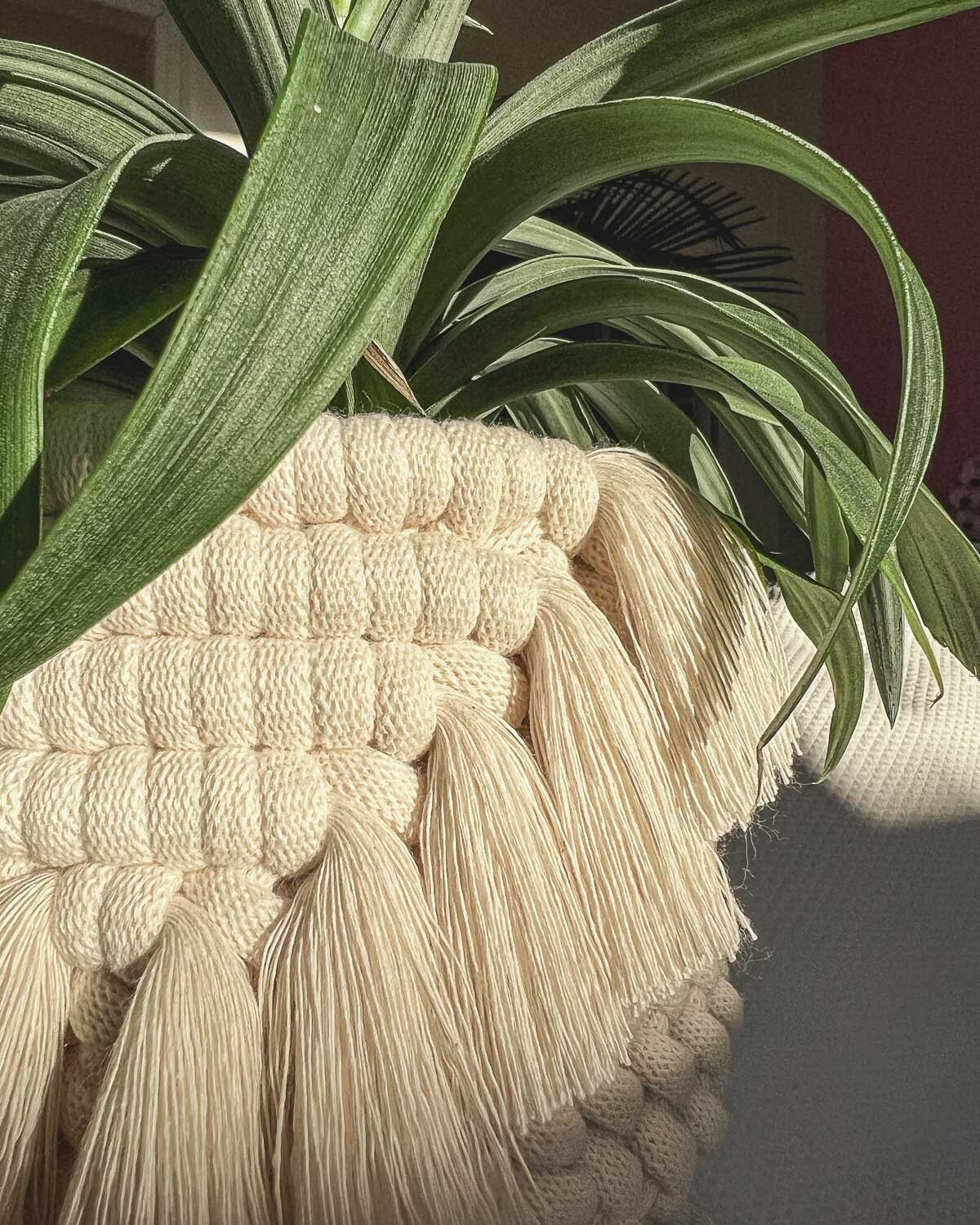 Macrame Pattern for a Basket, Macrame Video Tutorial Basket With Fringe ...