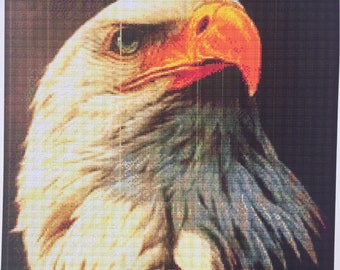 Cross Stitch Kit Big Eagle Head