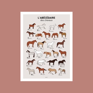 Cartel ABC de caballo, ilustración de cartel A3 A4 para decoración de pared imagen 2