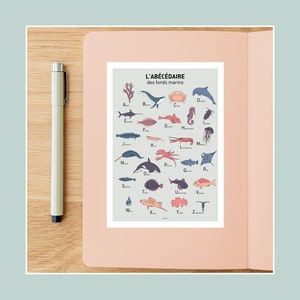 Carte postale Abécédaire des fonds marins , Illustration 10x15cm pour décoration murale