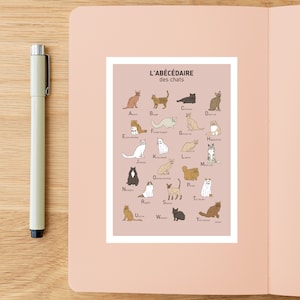 Carte postale Abécédaire des chats , Illustration carte postale 10x15cm pour décoration murale