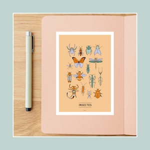 Carte postale  Insectes, Illustration carte postale 10x15cm pour décoration murale