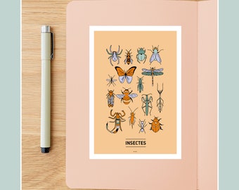 Insects Postcard, 10x15cm Postcard Illustration for Wall Decoration