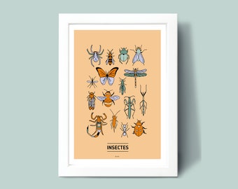 Affiche Insectes , Illustration poster A3 A4 pour décoration murale
