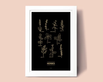 Cartel de hierbas, Cartel de ilustración A3 A4 para decoración de pared