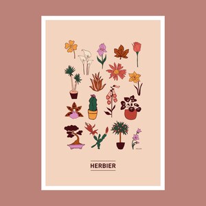 Puede incluir: Un fondo beige con una colecci&oacute;n de 20 plantas y flores diferentes en varios colores, incluyendo rojo, naranja, amarillo, verde, azul y morado. El texto "HERBIER" est&aacute; en la parte inferior de la imagen.