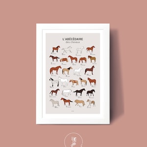 Cartel ABC de caballo, ilustración de cartel A3 A4 para decoración de pared imagen 1