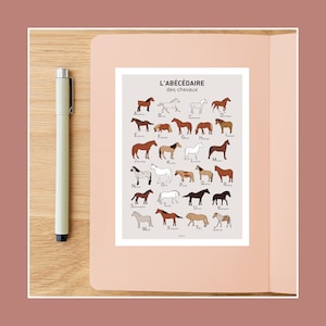 Carte postale Abécédaire des chevaux , Illustration carte postale 10x15cm pour décoration murale