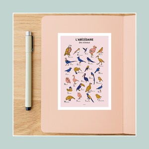 Carte postale Abécédaire des oiseaux , Illustration carte postale 10x15cm pour décoration murale