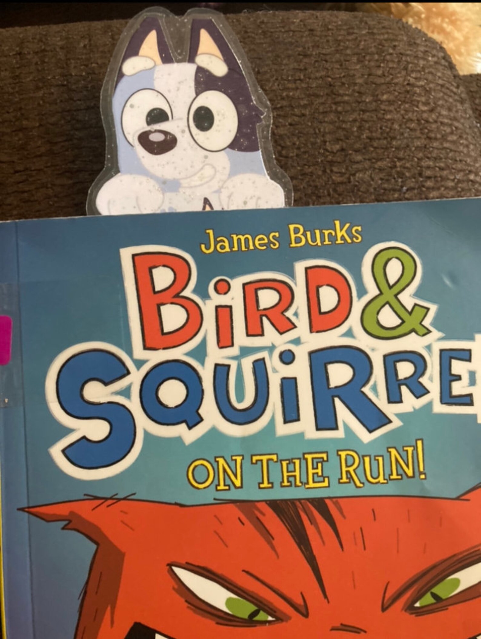 Socks Heeler Bookmarkbluey Etsy