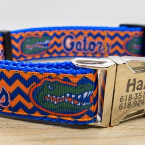 Chevron Florida Gators Dog Collar - Swamp - Personalized Metal and Plastic Buckles - Albert and Alberta - Made in the USA - Fast Shipping!
