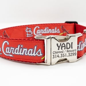 st louis cardinals dog collar