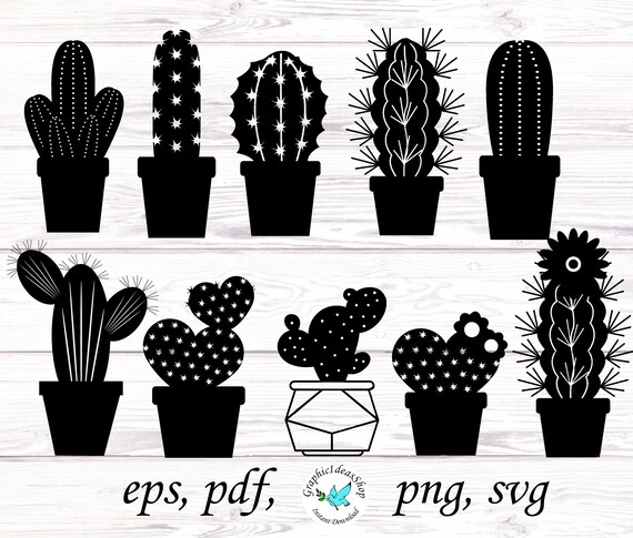 Cactus Flower Svg Cactus Flower Design Svg Flower Cactus Etsy