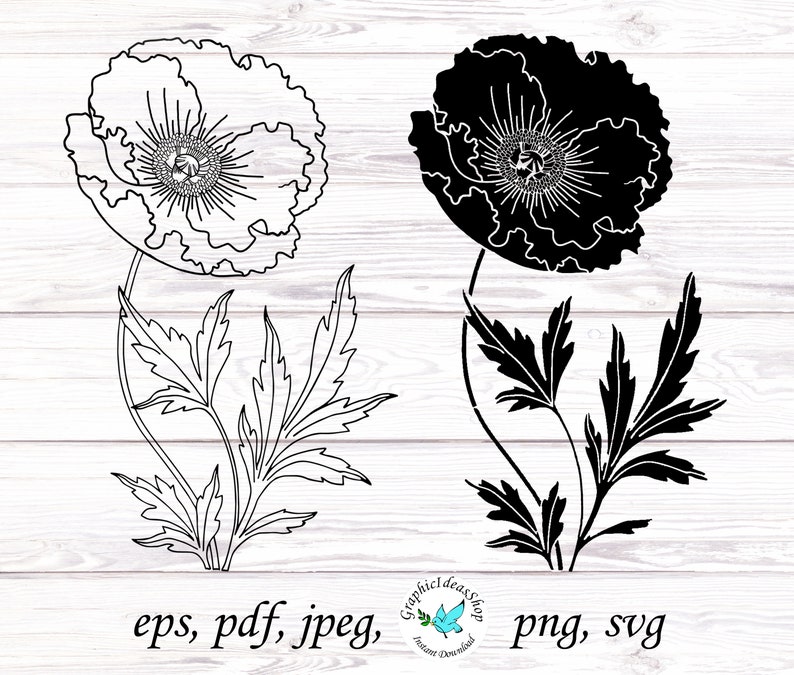 Free Free 104 Poppy Flower Svg Free SVG PNG EPS DXF File
