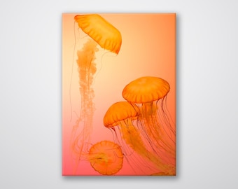 Jellyfish Print: Orange Aquatic Wall Art on ACM