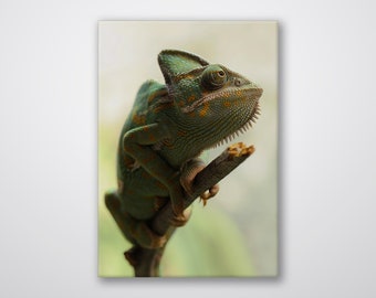 Climbing Chameleon Metal Wall Art Print: Modern Home Decor