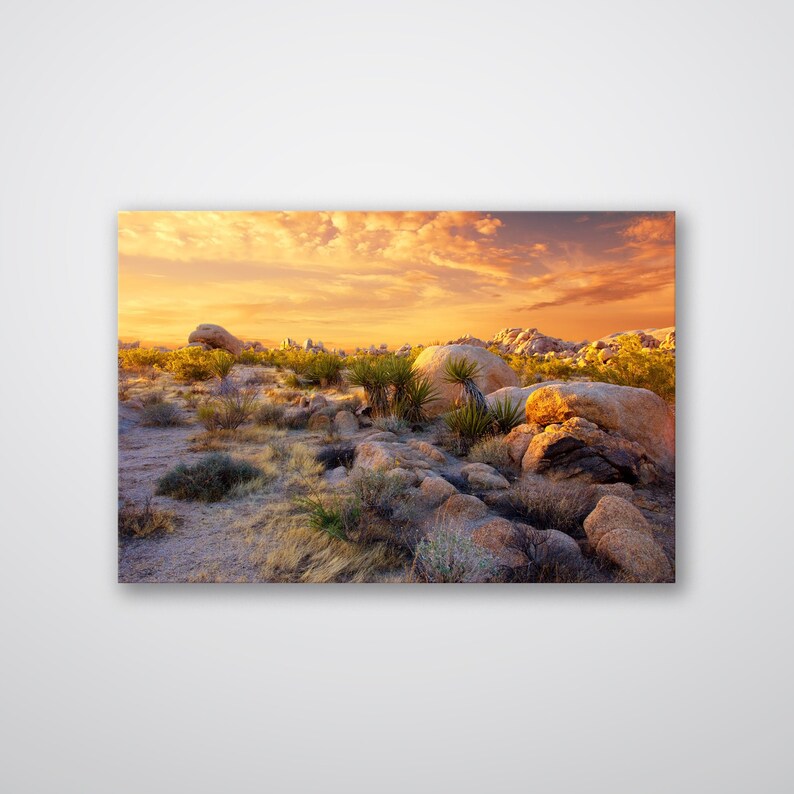Joshua Tree Sunset Art Print: Desert Landscape Wall Decor - Etsy