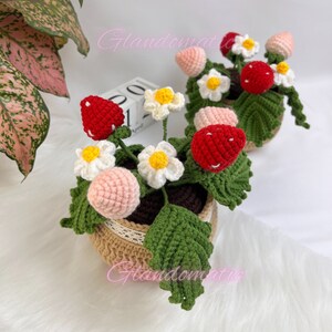 Peut inclure: Deux plantes de fraises crochet&eacute;es dans des pots bruns avec une bordure en dentelle blanche. Chaque plante a des fraises roses et rouges, des feuilles vertes et des fleurs blanches avec des centres jaunes.