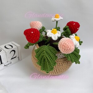 Peut inclure: Une plante de fraises en crochet dans un pot brun avec une bordure en dentelle blanche. La plante a des fraises roses et rouges, des fleurs blanches avec des centres jaunes et des feuilles vertes.