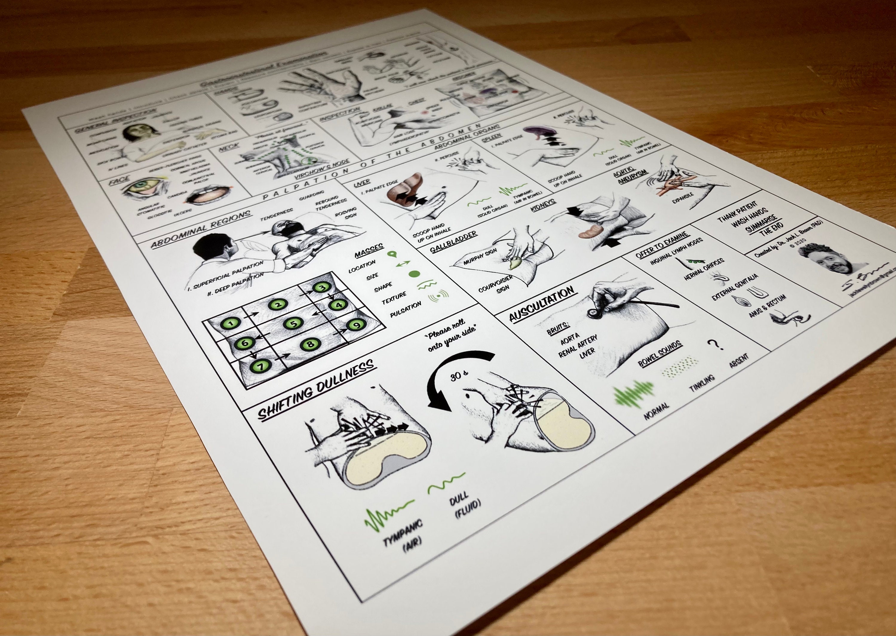 Gastrointestinal/abdominal OSCE Examination Study Guide (digital ...