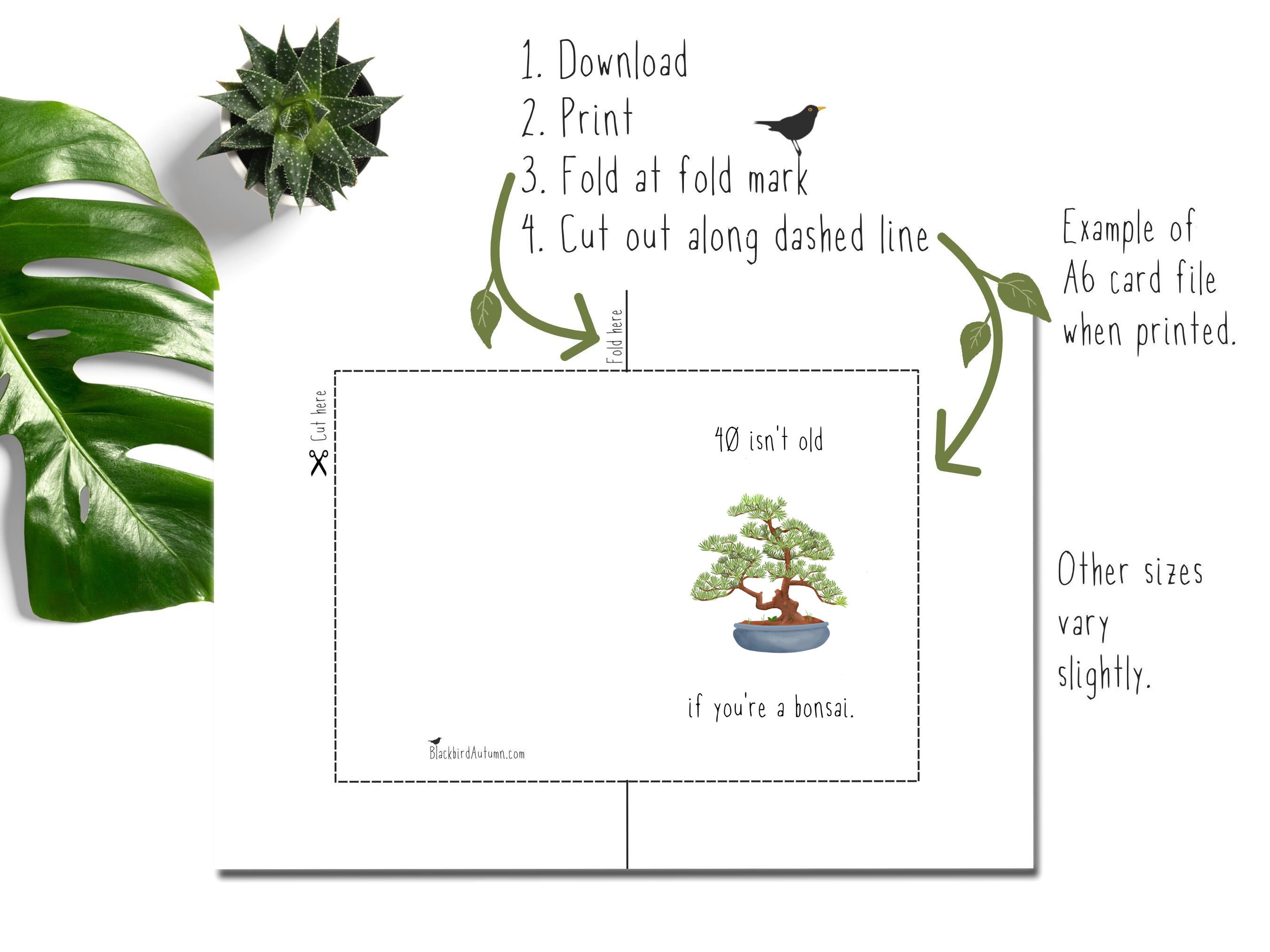 Printable Funny 40th Birthday Card for Bonsai Tree Fans and Plant ...