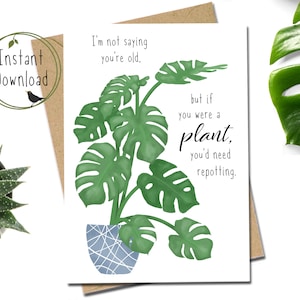 Tarjeta de cumpleaños de planta de interior divertida imprimible para una mujer o un hombre mayor. Tarjeta descarada para los amantes de las plantas monstera y los jardineros.