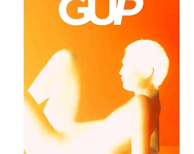 Pre-Owned Photo art magazine GUP #64 photography magazine theme Silhouette cover Igor Pjorrt. your unique guide to photography!
