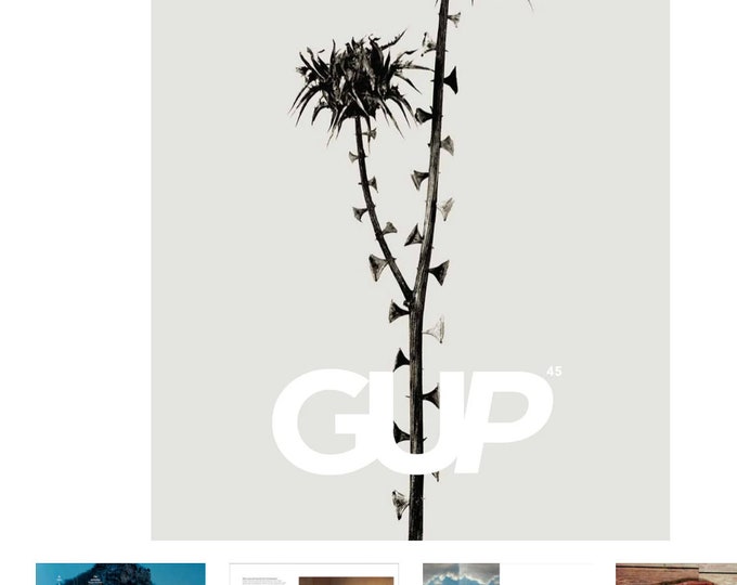 Pre-Owned Photo art magazine GUP photography magazine #45 theme Evolution Contemporary Photography-Visual Culture-Collectible issue