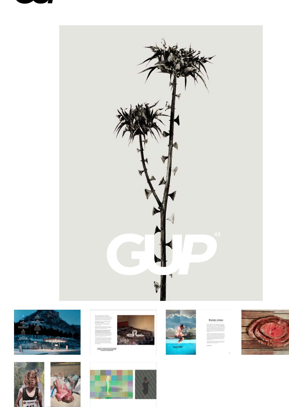 gallery photo