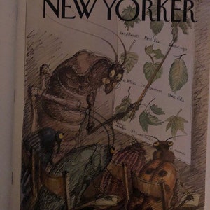 The cover's just the beginning - The New Yorker 2000 Iconic Journalism & Cartoons - Collectible Issue Gift for magazine lovers!