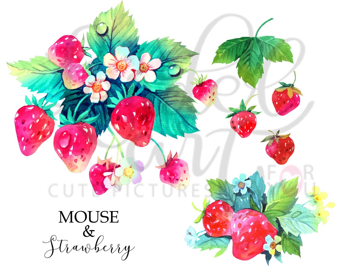 Cute Animals Clipart PNG Watercolor Mouse Clipart Mice PNG - Etsy
