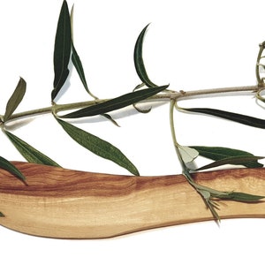 Può includere: Un coltello da burro in legno con manico curvo, sotto un rametto di rami di ulivo con foglie verdi. Il coltello è marrone chiaro con un bordo marrone più scuro.