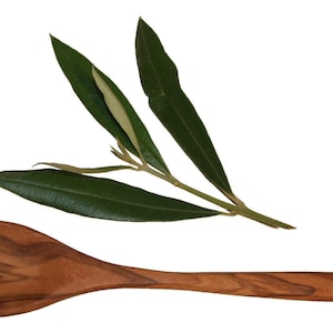 Peut inclure: Une cuillère en bois avec un long manche et un large bol ovale. La cuillère est faite d'un bois foncé et à motifs. Au-dessus de la cuillère se trouvent plusieurs feuilles d'olivier vertes.