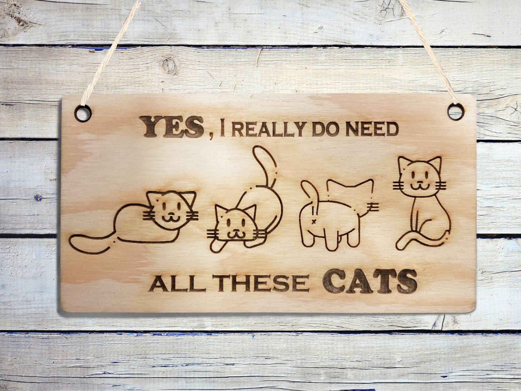 Cat Plaque for Home Wooden Sign Wall Art Cat Lovers Quote Etsy UK