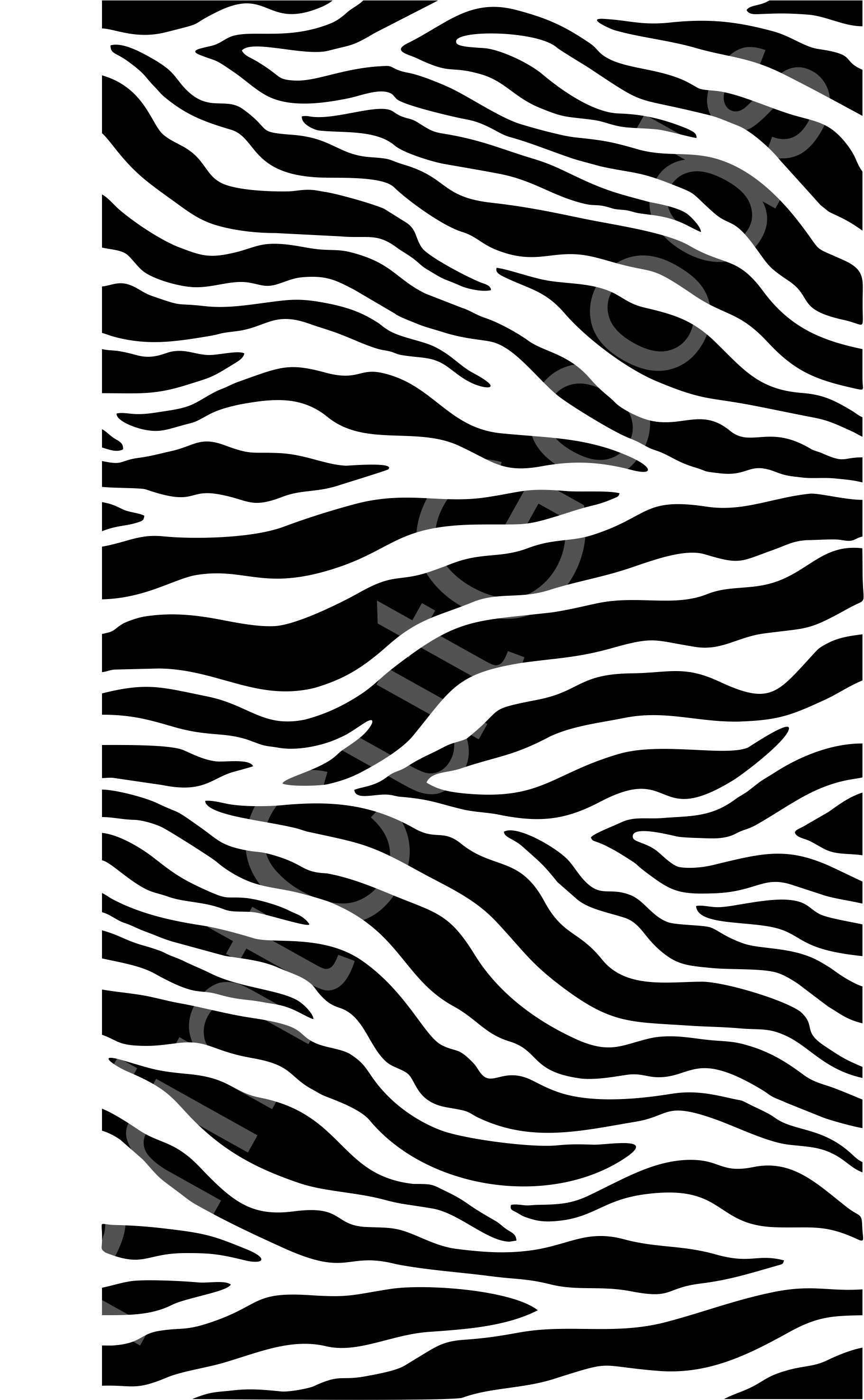 zebra stripes