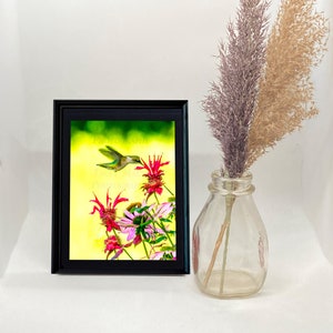 Hummingbird in the Garden:/Bird Photo, Bird print, Framed Hummingbird Print, Gift Hummingbird Bird lovers, Red Flower BeeBalm Photo