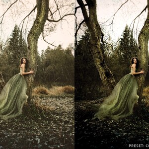 May include: A woman in a long, flowing green dress stands in a forest, leaning against a tree. The dress is sheer and has a delicate, ethereal quality. The forest is dark and mysterious, with tall trees and lush foliage. The image has a vintage, fairytale-like feel.