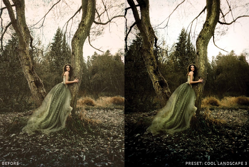 May include: A woman in a long, flowing green dress stands in a forest, leaning against a tree. The dress is sheer and has a delicate, ethereal quality. The forest is dark and mysterious, with tall trees and lush foliage. The image has a vintage, fairytale-like feel.