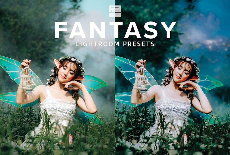 May include: A woman with fairy wings and a flower crown holds a birdcage in a green and blue forest setting. The text "Fantasy Lightroom Presets" is displayed above her.