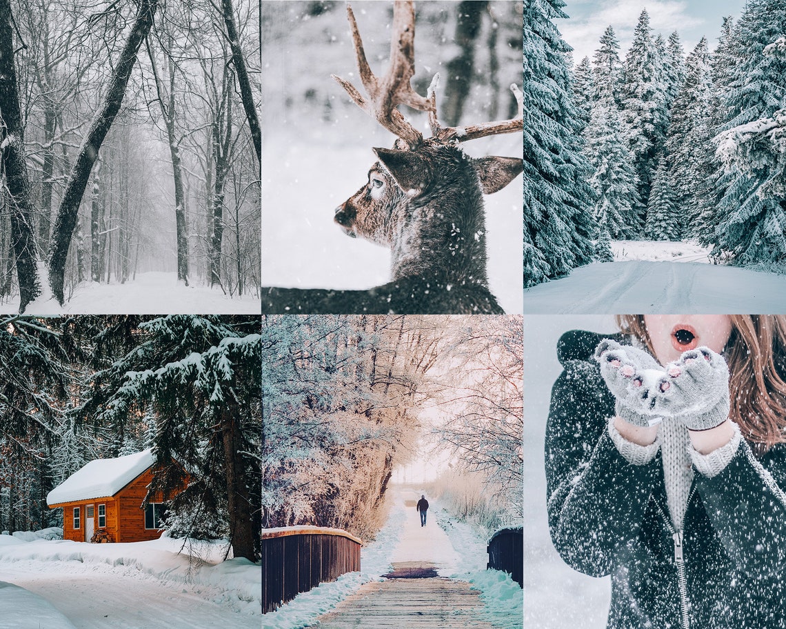 Winter Lightroom Presetsinstagram Presets Desktoplightroom Etsy