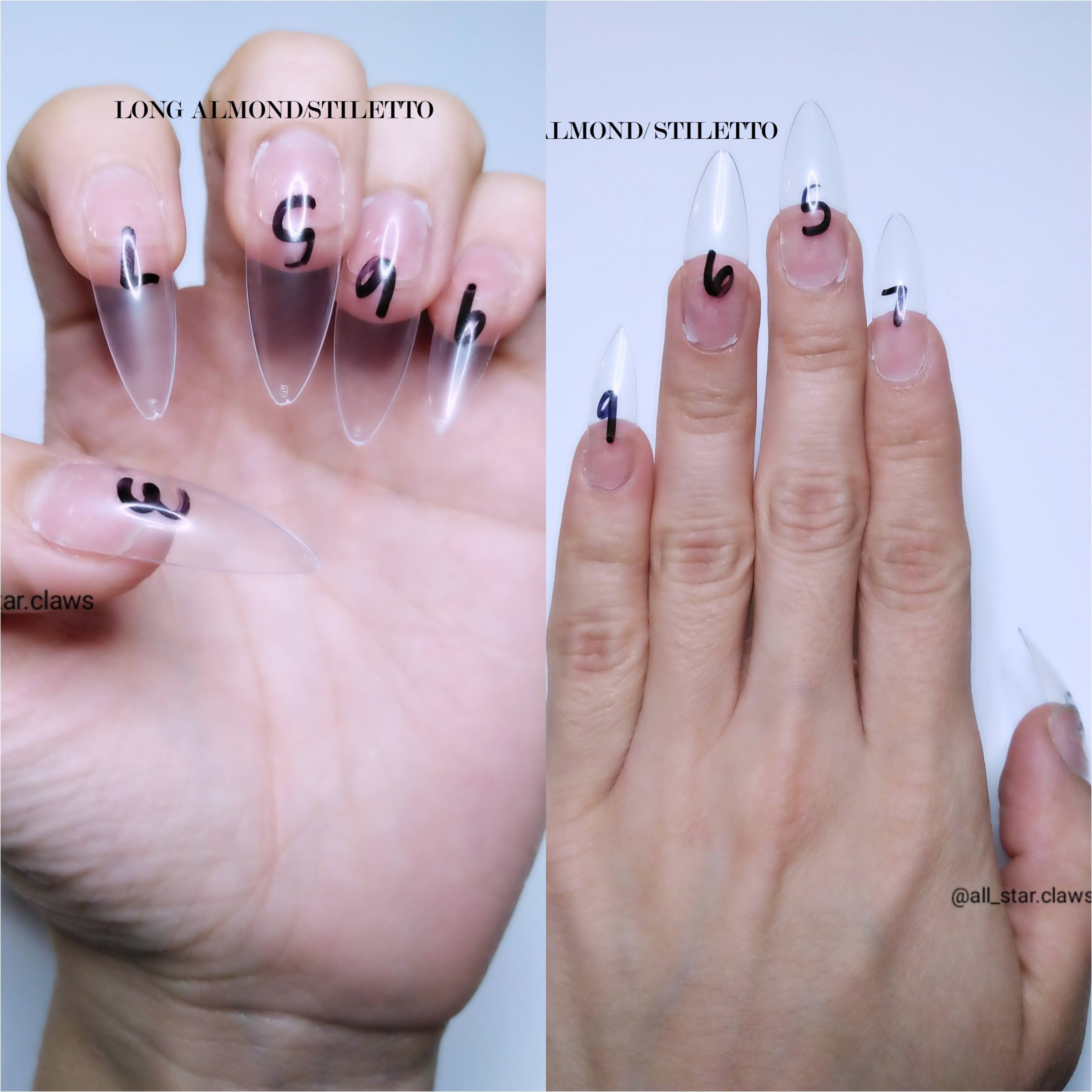 Nail Sample Size KitBlankSamplePress On Nails Etsy