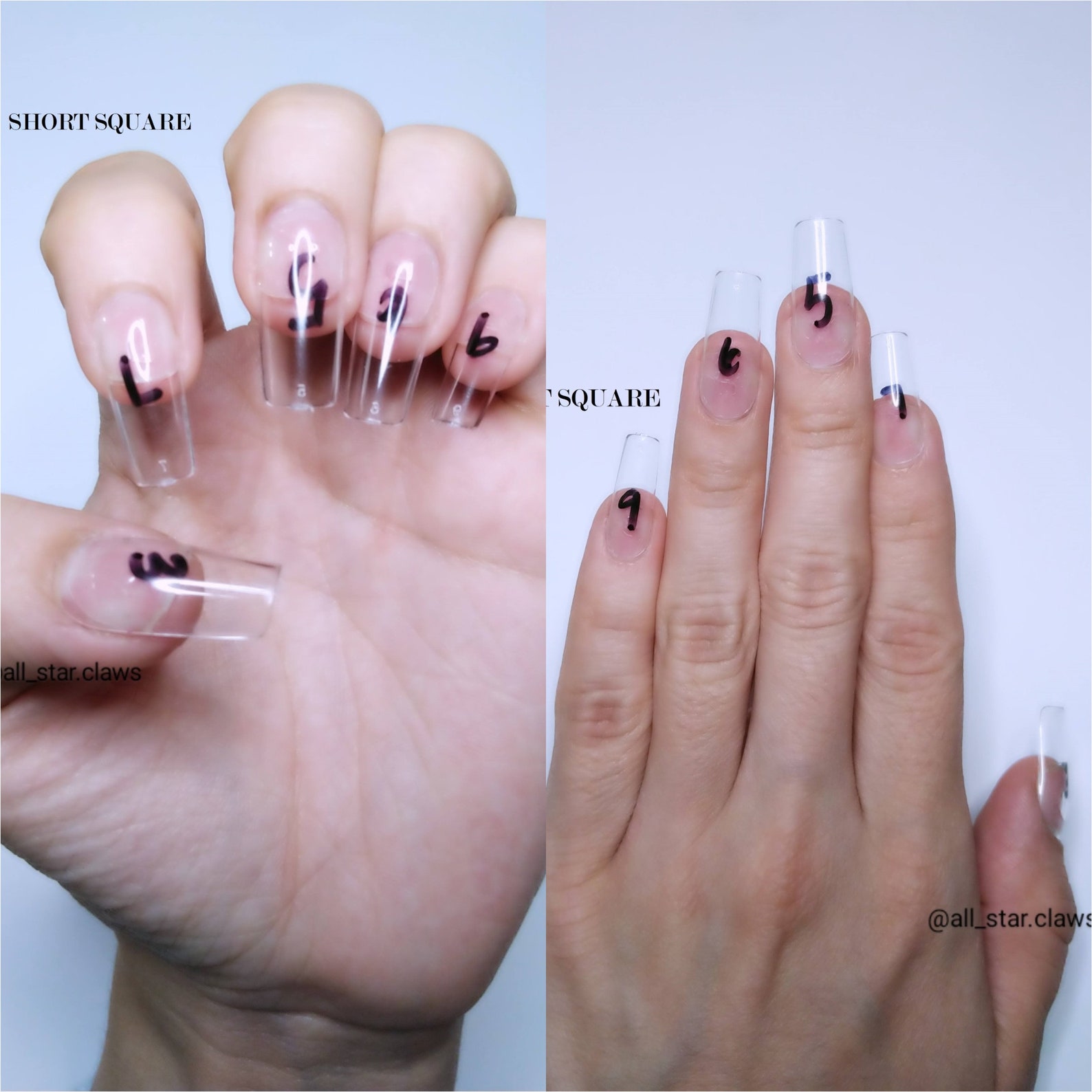 Nail Sample Size KitBlankSamplePress On Nails Etsy