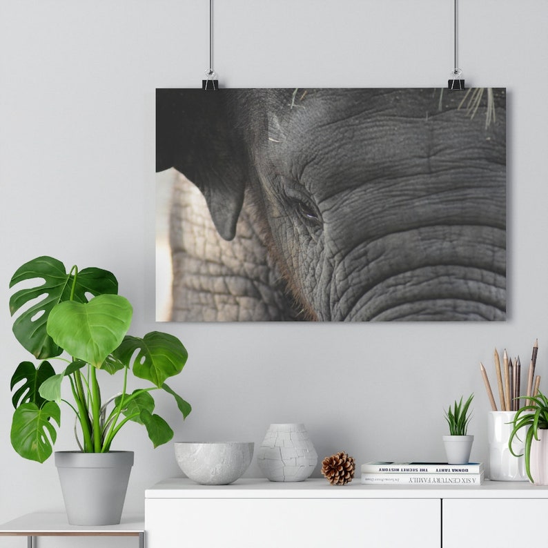 Birdie House Gicl\u00e9e print