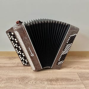 ウクライナのバヤン、ロシアのバヤン、100ベース、アコーディオン