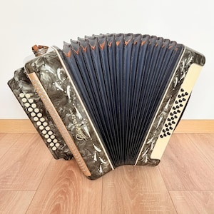 May include: A grey and black marbled accordion featuring a dark blue bellows section, white circular buttons on both sides, and a metallic brand name plate on the front. The instrument has a glossy finish with white decorative accents.