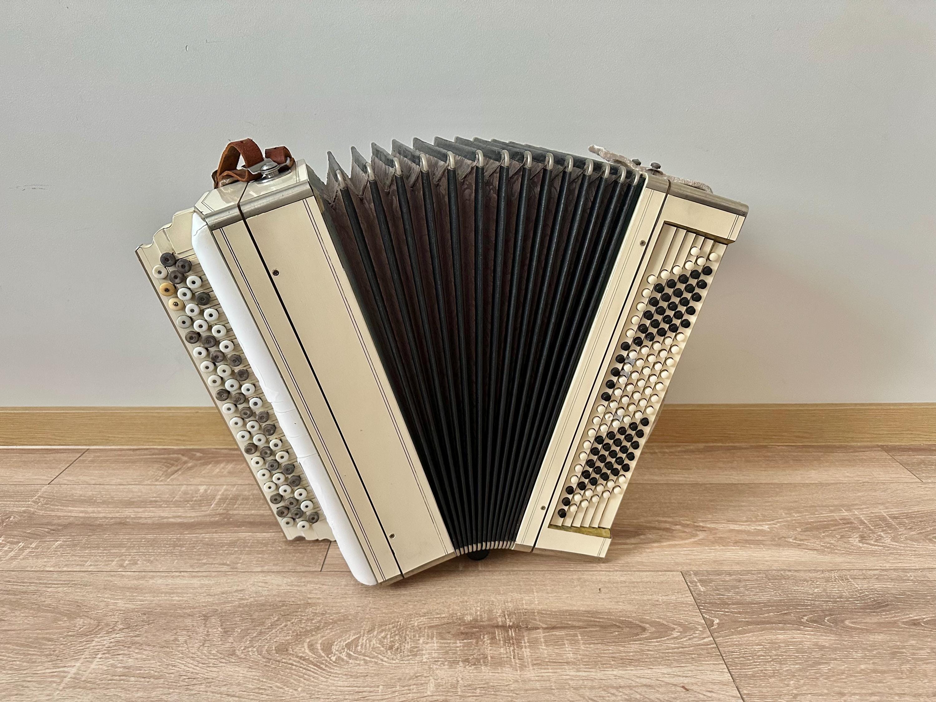 1950年代のアンティーク木製バヤン、シングルソリッドリードプレート