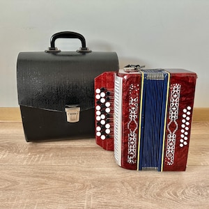 Bayan pour enfants, 16 basses, 1 voix, accordéon bouton, malish, accordéon, petit bayan, accordéon, instrument de musique, étui, accordéon bouton