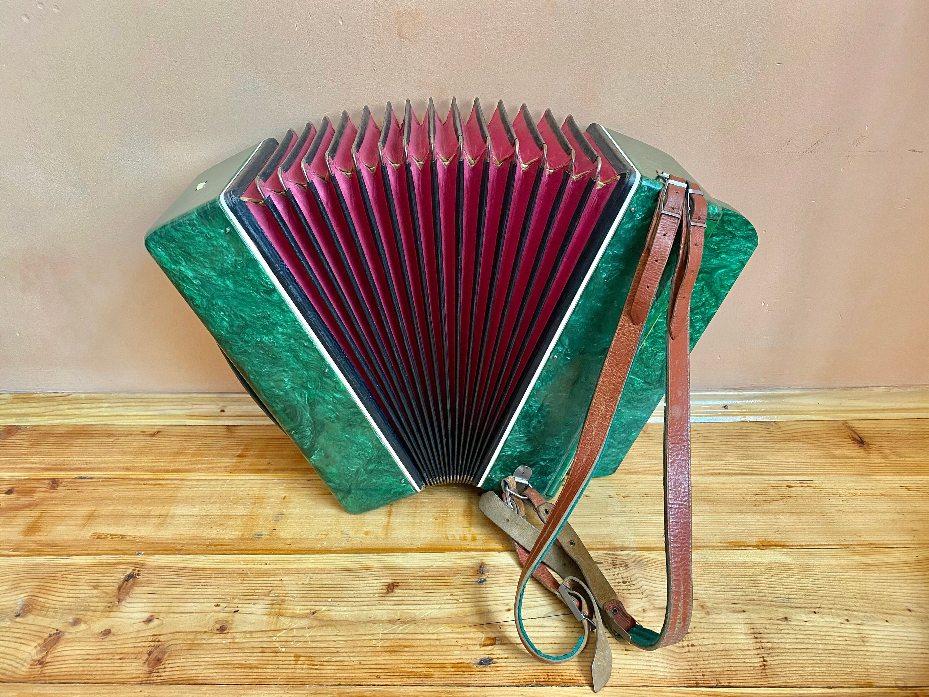 Working Vintage Ukrainian Accordion 100 Bass Bayan Button Etsy Canada