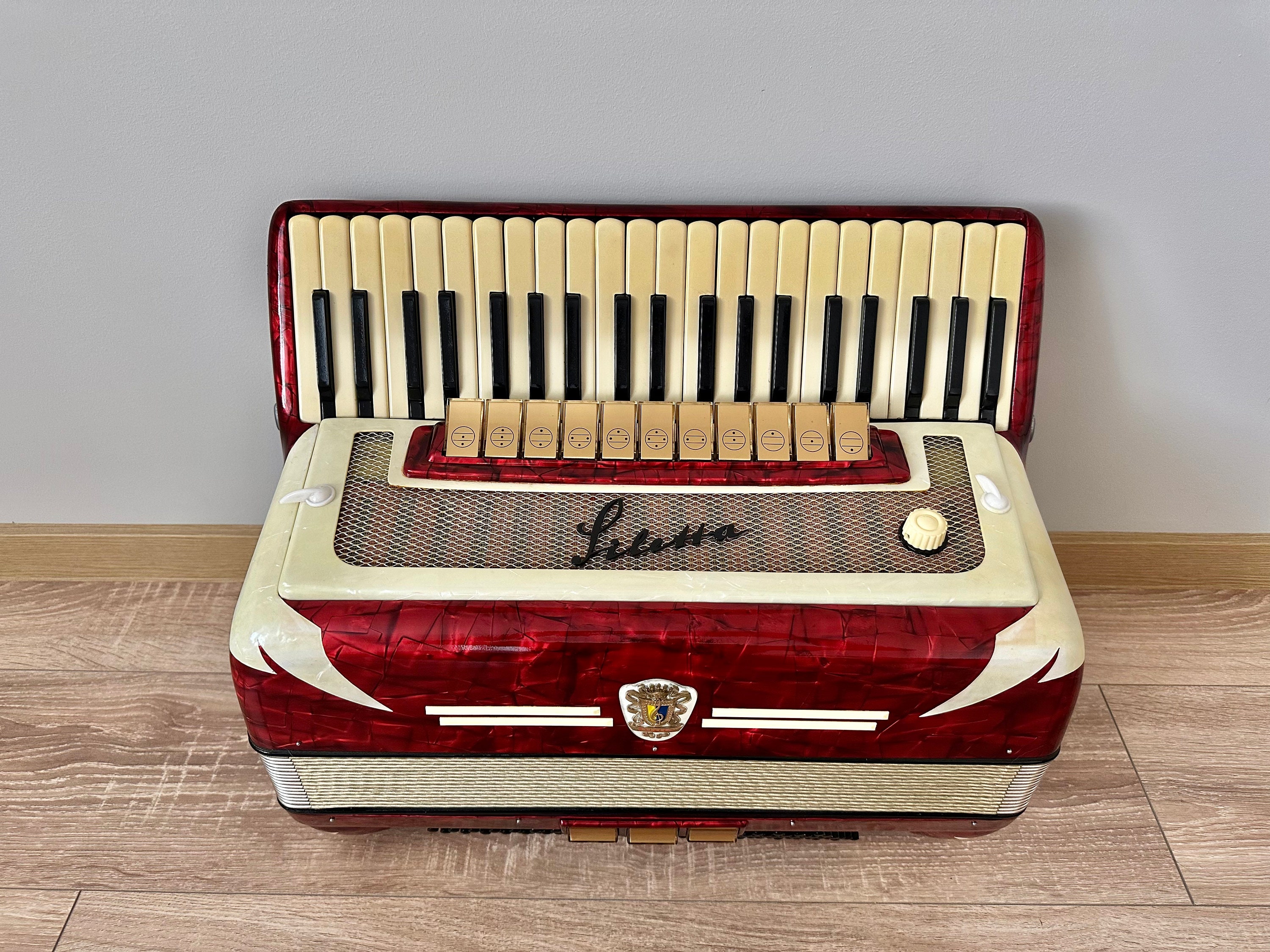 Maglietta Fisarmonica Vintage - Cotone, Design Retrò Per Musicisti - Foto 2